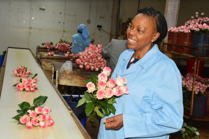 Grace Nyachae's Leadership: Navigating Economic Uncertainties Through Farm Diversification